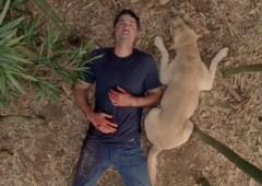 Final de Lost explicado