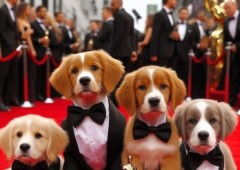 Sim, o Oscar dos cachorros existe e é uma festa da fofura